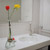 Mimosa apartment in Florence