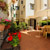 Mimosa apartment in Florence