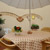 Mimosa apartment in Florence