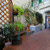 Mimosa apartment in Florence